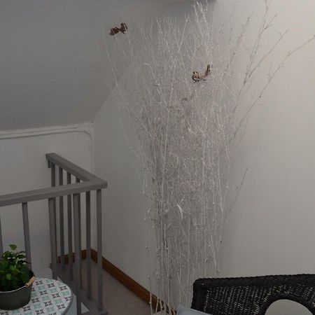 Au Bobeli'Nid - Gite Citadin Au Coeur De Spa Dış mekan fotoğraf
